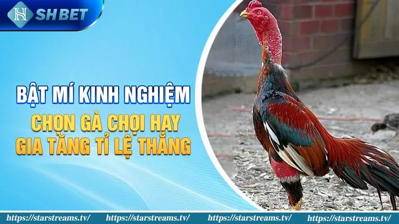 Các trò chơi xổ số trực tuyến với tỷ lệ trúng thưởng 1/99 chỉ có ở những khu vực được xếp hạng 33Win - 33Win