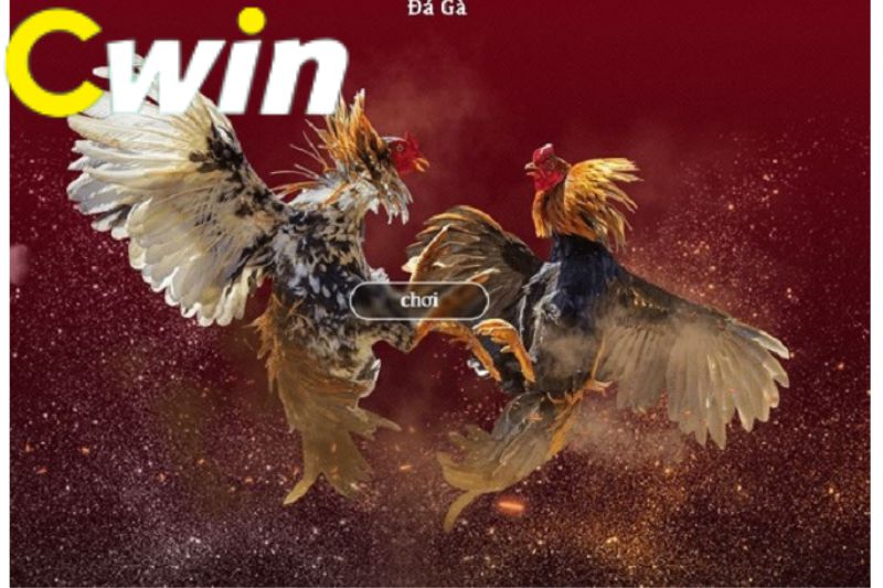Hỗ trợ và hợp tác với Bk8866 Games - Bk8866