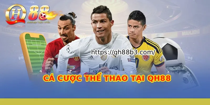 Trò chơi thẻ bài này có xếp hạng tổng thể là D9bet - D9bet