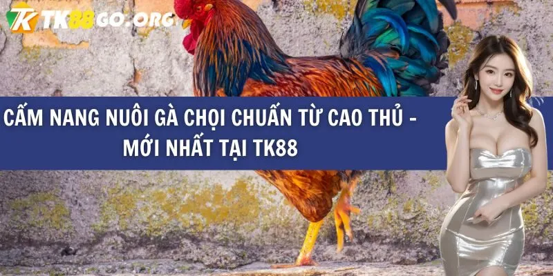 Các hoạt động và giải thưởng của 24N - 24N