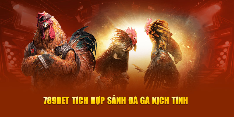 Dung lượng và khả năng sẵn có của thiết bị di động One88 - One88