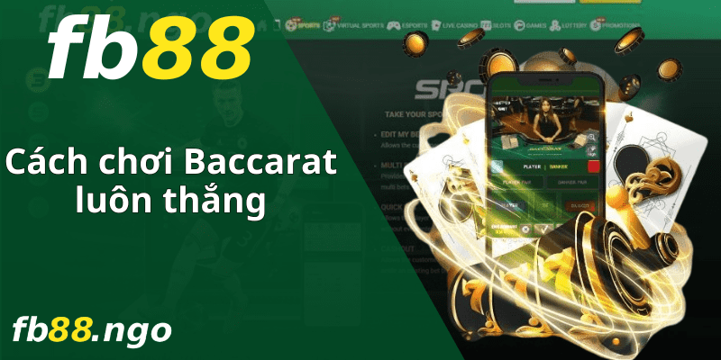 Các hoạt động và chính sách ưu tiên của Zalv - Zalv