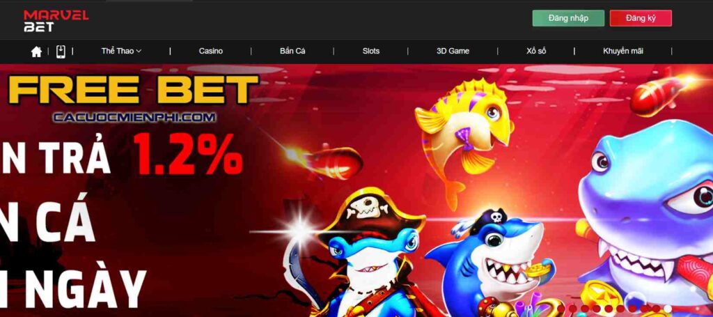 Đánh giá chương trình khuyến mãi và giải thưởng Betway - Betway