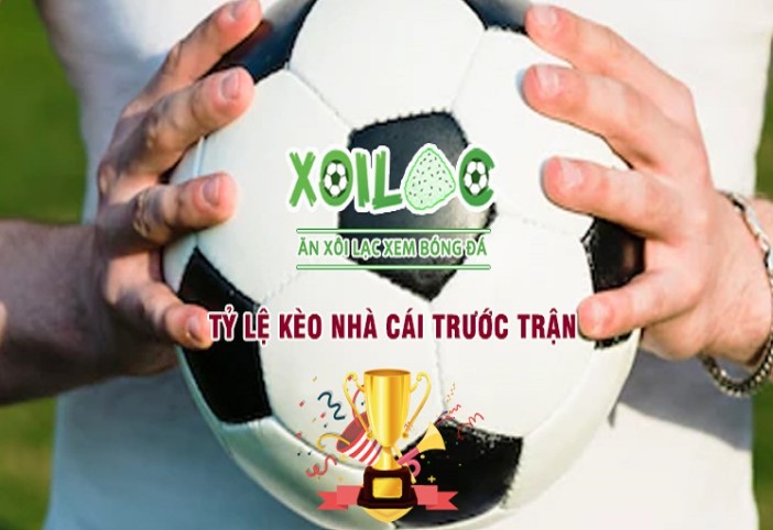 Vaobo88 và các dịch vụ cơ bản - Vaobo88