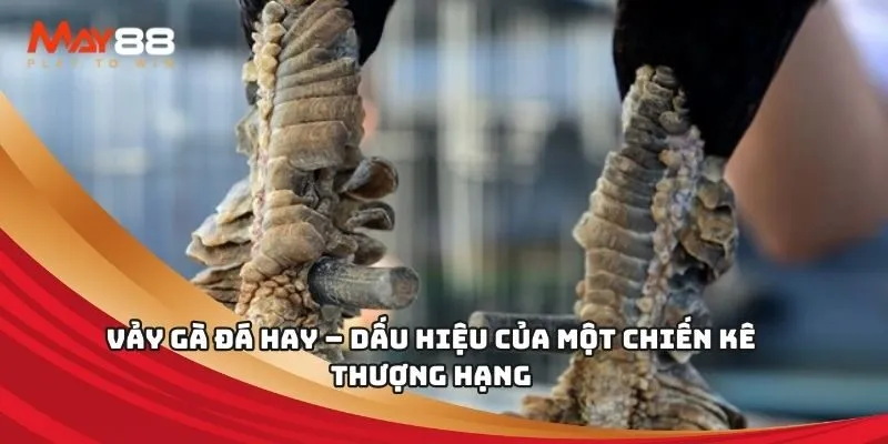 Hướng dẫn nạp tiền vào tài khoản Max88 - Max88