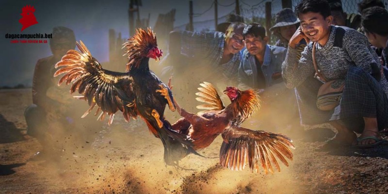 Các công ty game được xếp hạng M8win rất an toàn - M8win