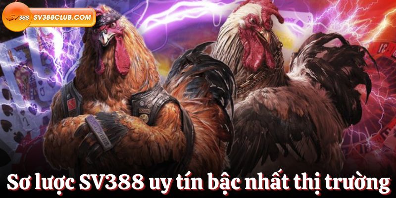 Tài nguyên trang web 99Ok - 99Ok