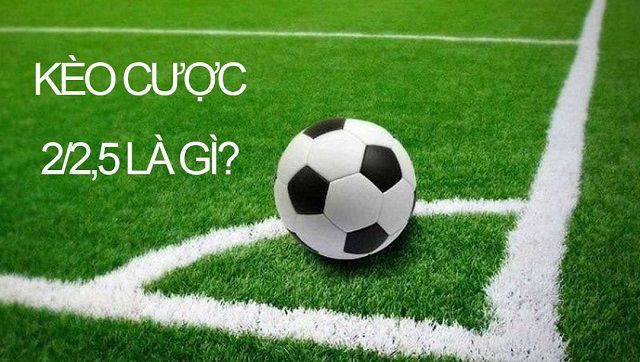 Thông tin về một cổng game hàng đầu và uy tín được xếp hạng Vg99 - Vg99